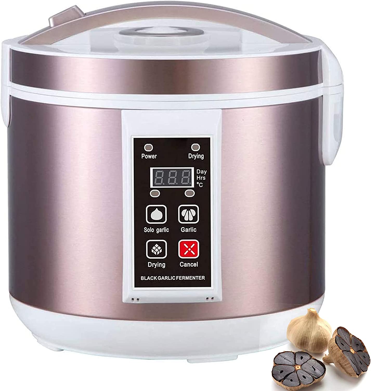 5L Schwarz Knoblauch Fermenter – Diy Electronics Starter Kit Bewertung und Preis